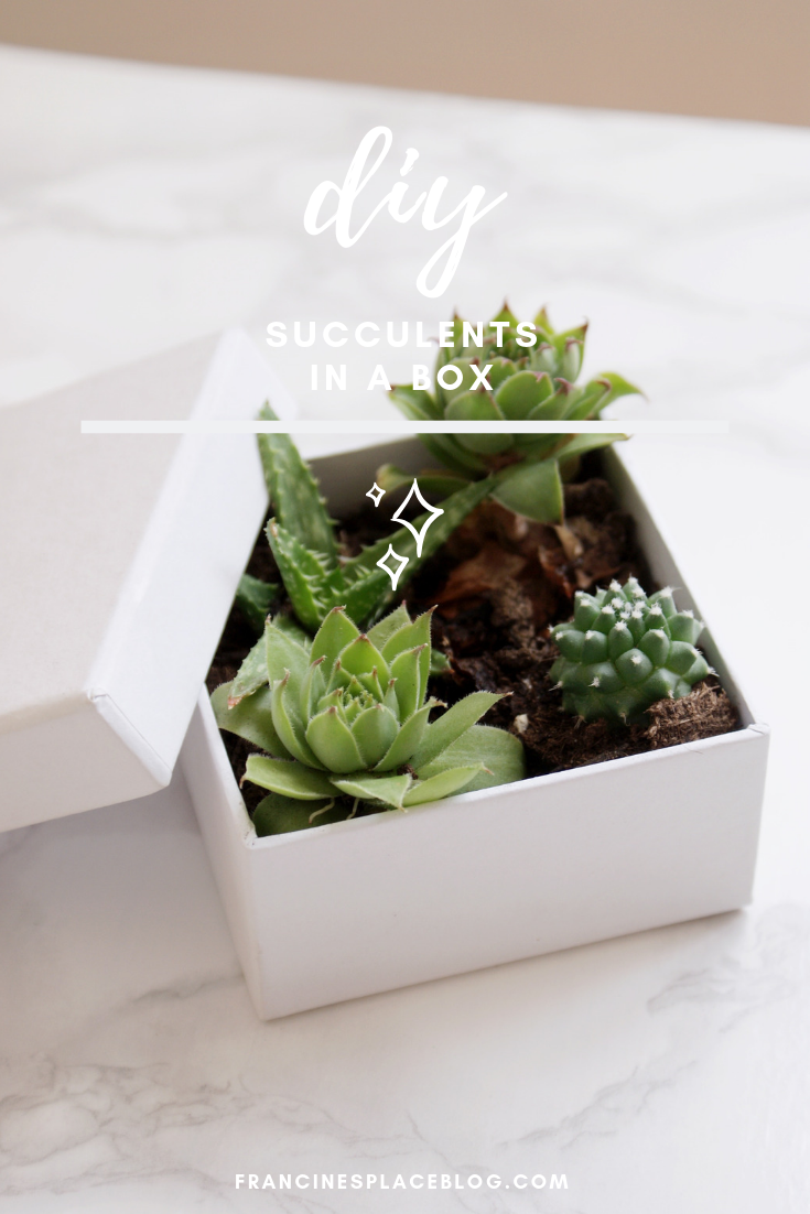diy succulents box home decor gift idea francinesplaceblog