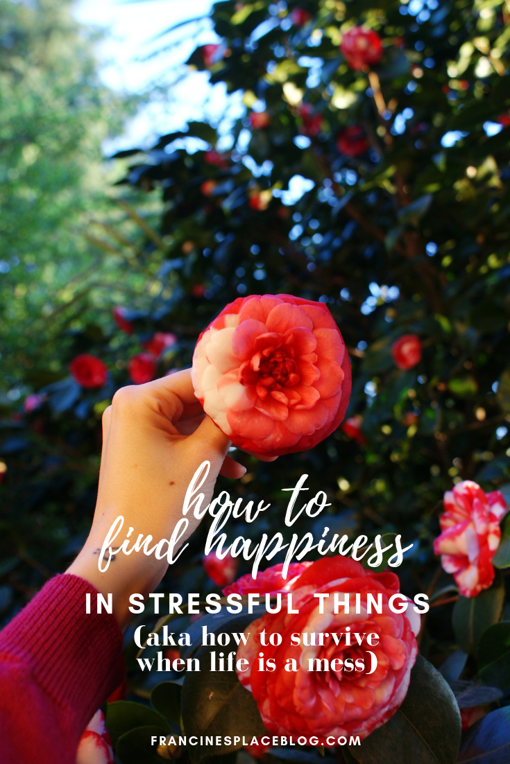 how find happiness stressful moments life mess health tips francinesplaceblog