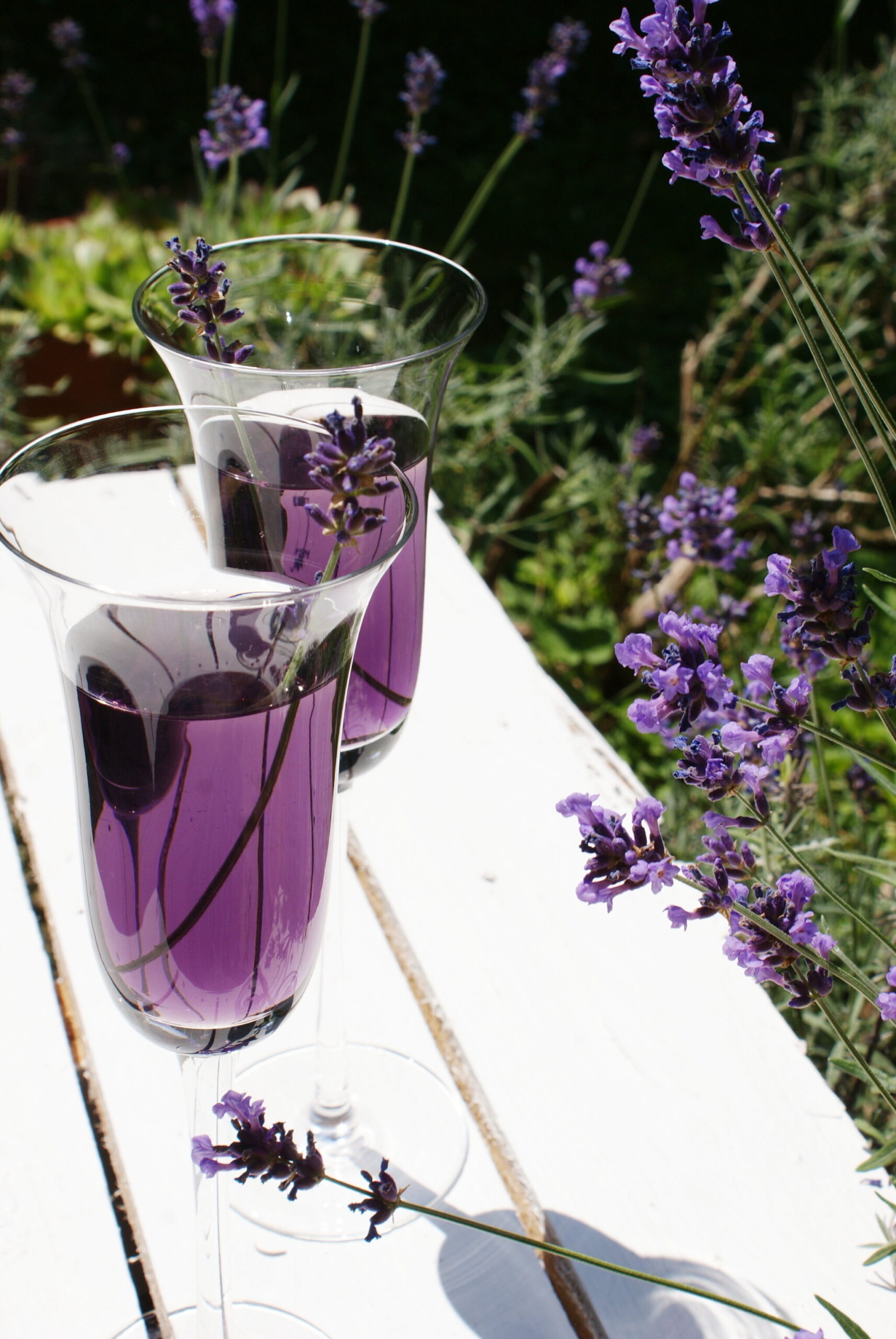 purple prosecco drink cocktail lavender sparkling